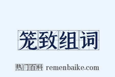 笼致组词是什么意思的图片